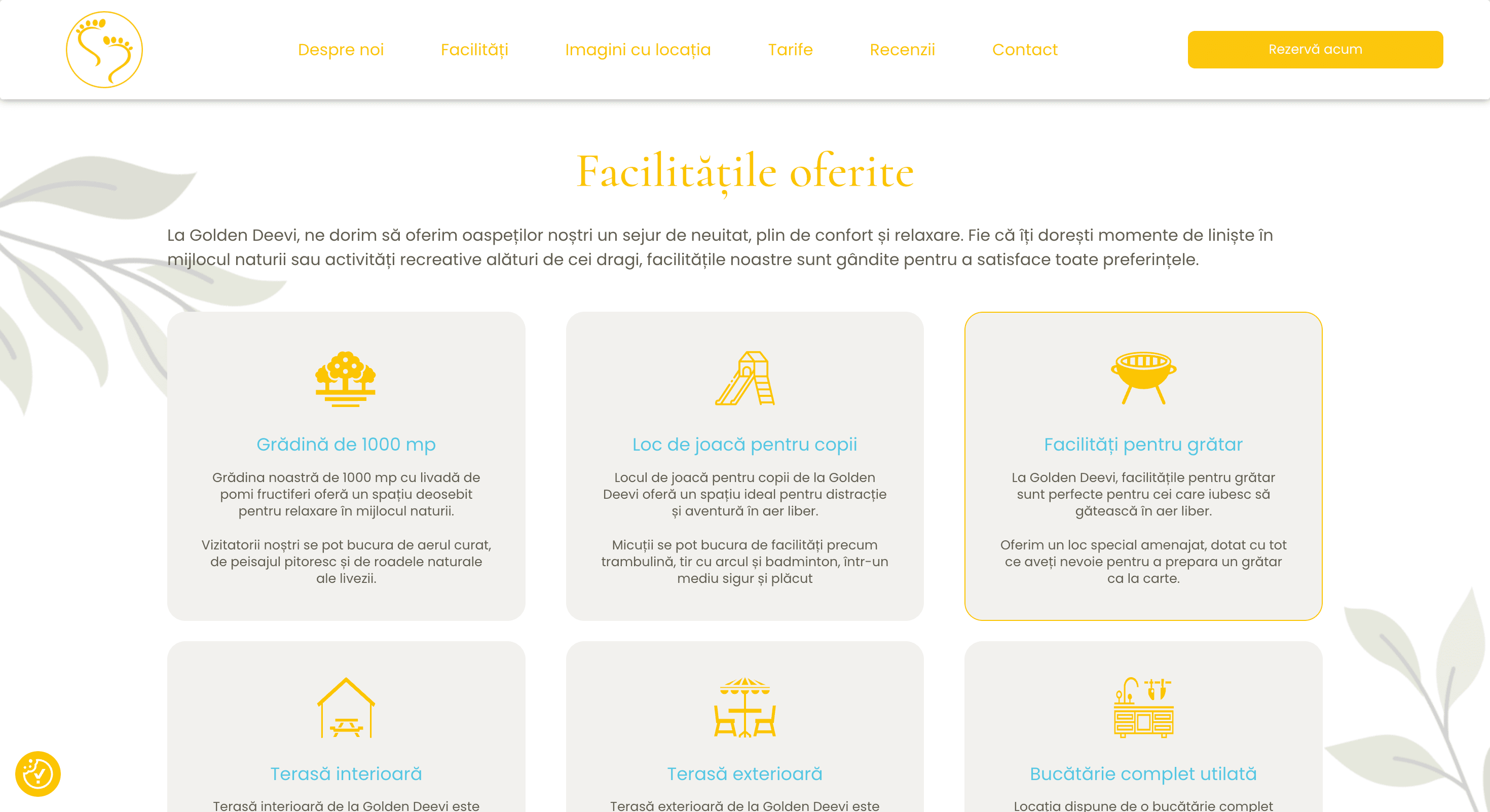 Site vechi Golden Deevi, înainte de redesign-ul realizat de Sponte